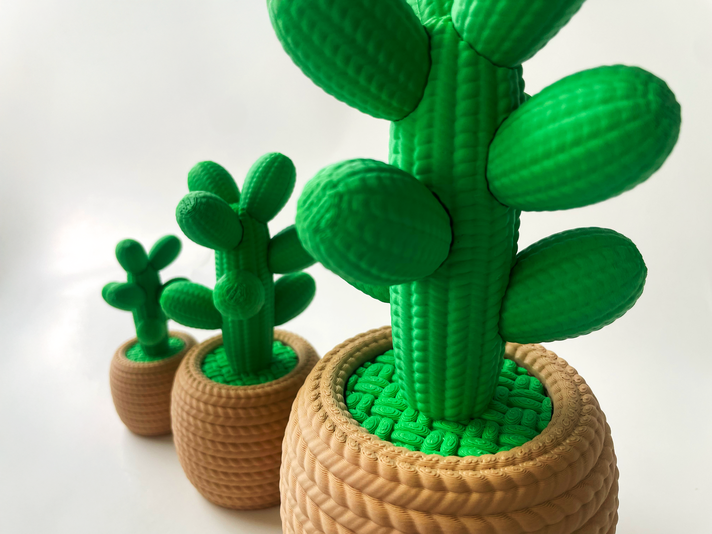 Cute Love Cactus Desktop Decor For Lovers and Friends