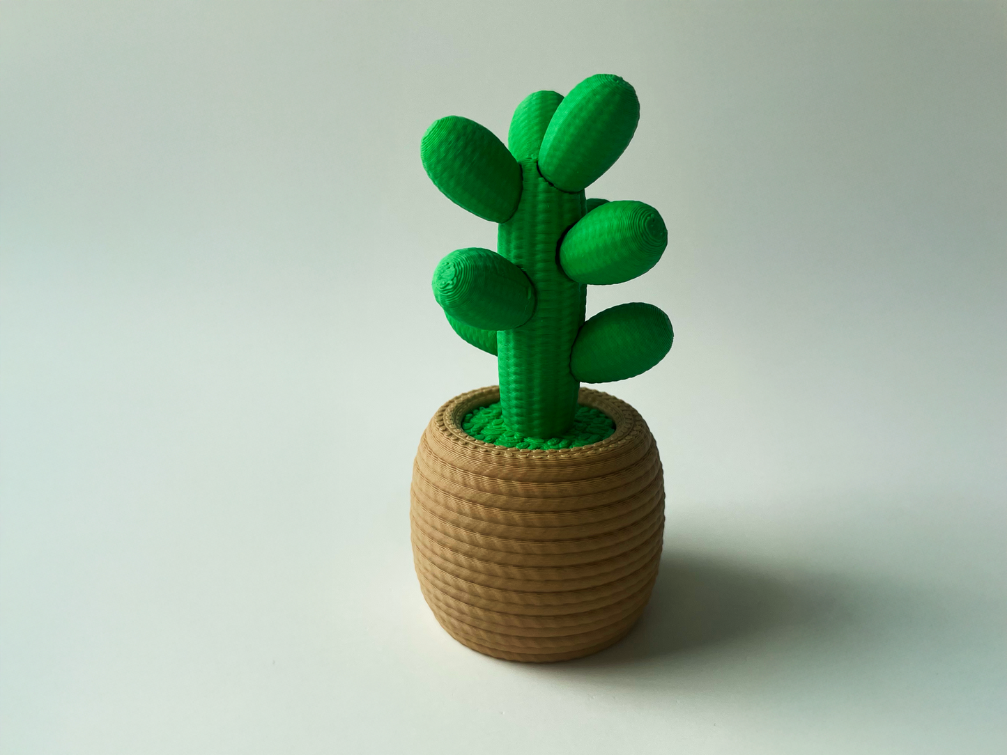 Cute Love Cactus Desktop Decor For Lovers and Friends