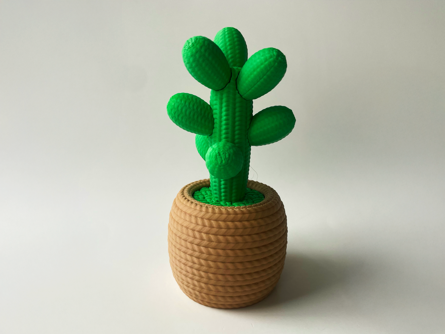 Cute Love Cactus Desktop Decor For Lovers and Friends