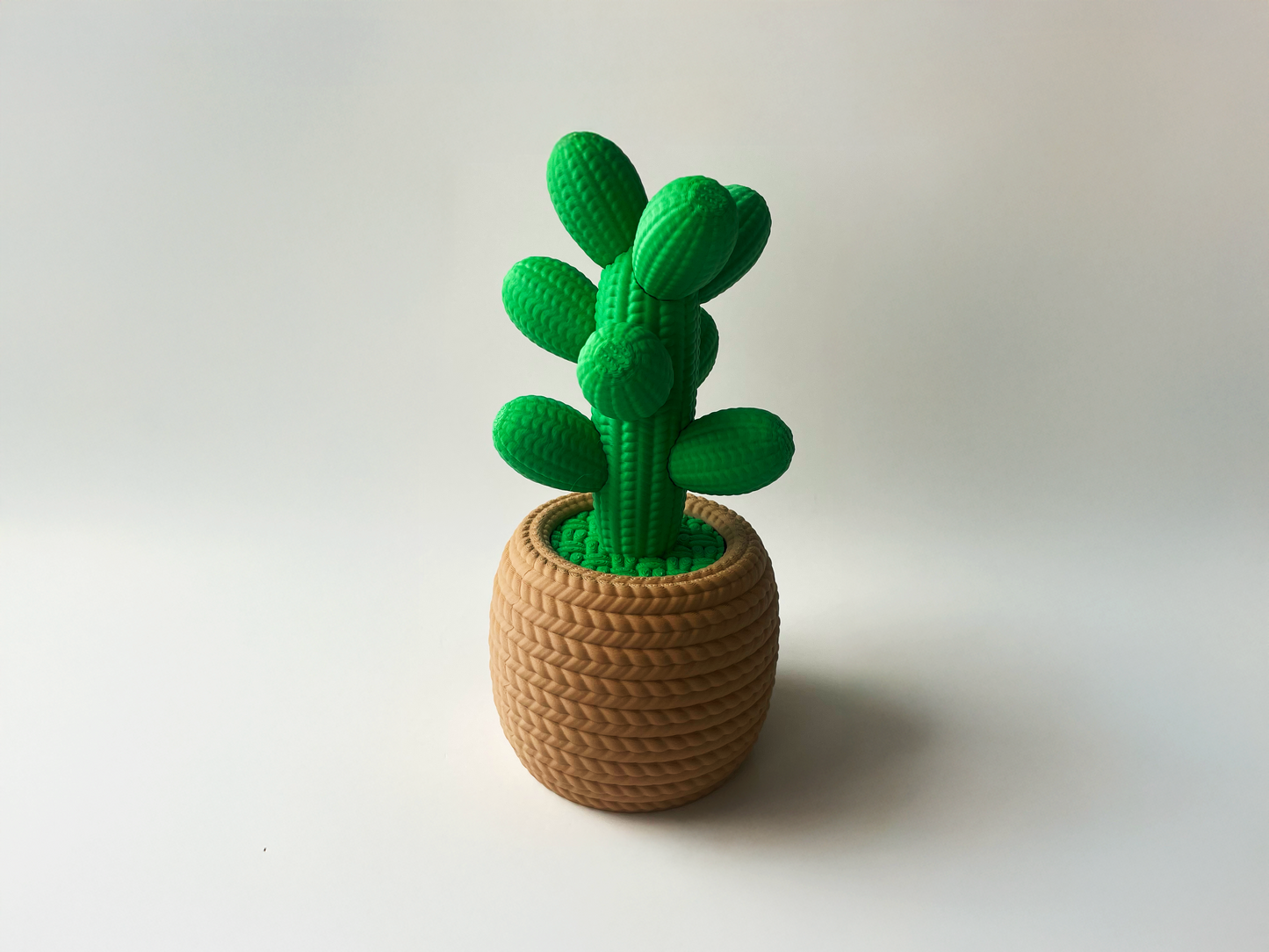 Cute Love Cactus Desktop Decor For Lovers and Friends