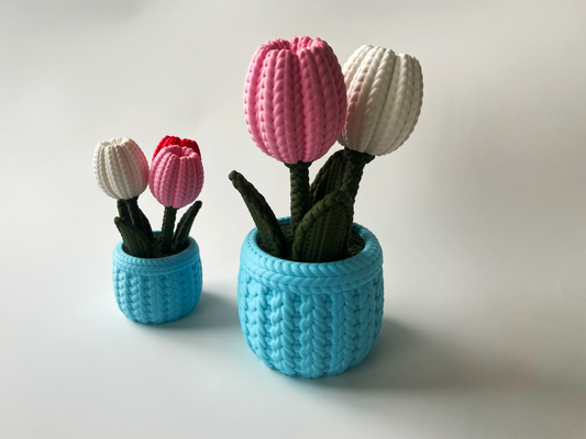 Love Colored Tulips Desktop Decor For Lovers and Friends