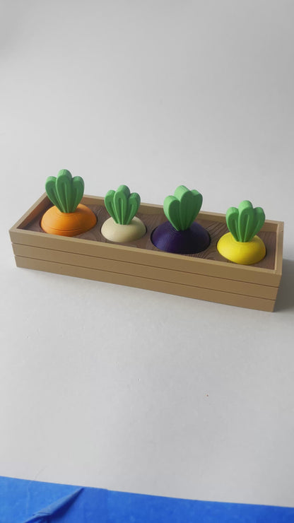 Mom's Diverse Full Carrot Garden-- Full Set with of 2 Large and 2 Medium Carrots-Multi Color Articulated Garden for Tactile Play & Stress Relief